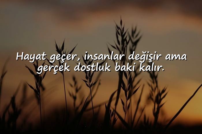 resimli dost ile ilgili sözler - 1