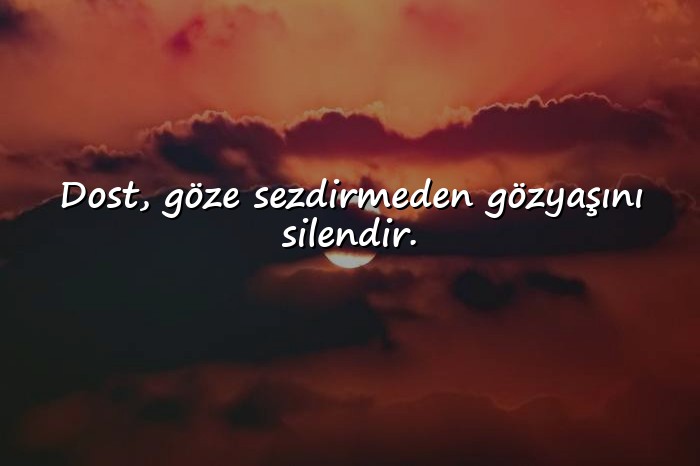 resimli Dost Sözleri - 20