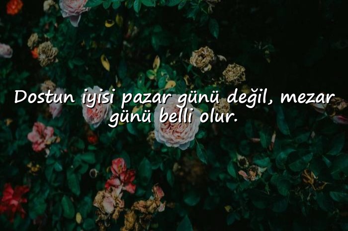 resimli Dost Sözleri - 15