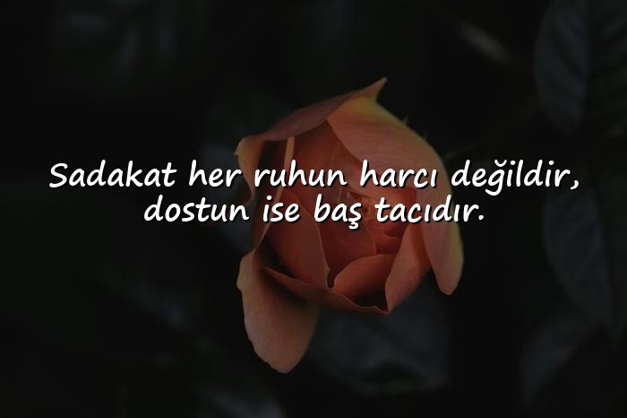 resimli Dost Sözleri - 10