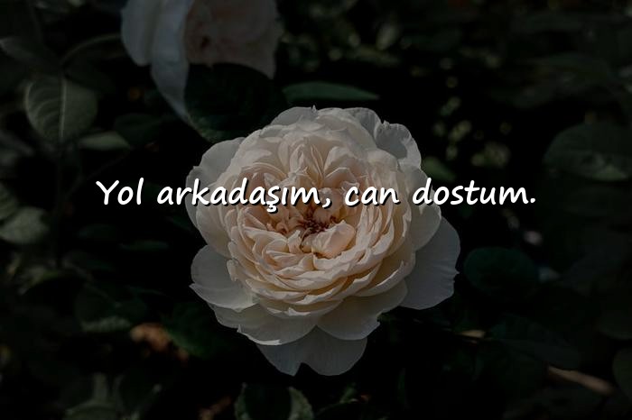 resimli Dost Sözleri - 5