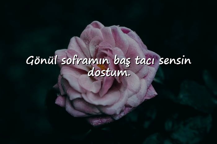 resimli Dost Sözleri - 25