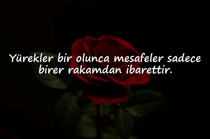 resimli Dost Sözleri - 10