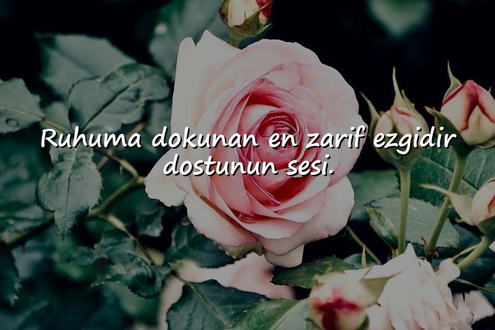 resimli Dost Sözleri - 5