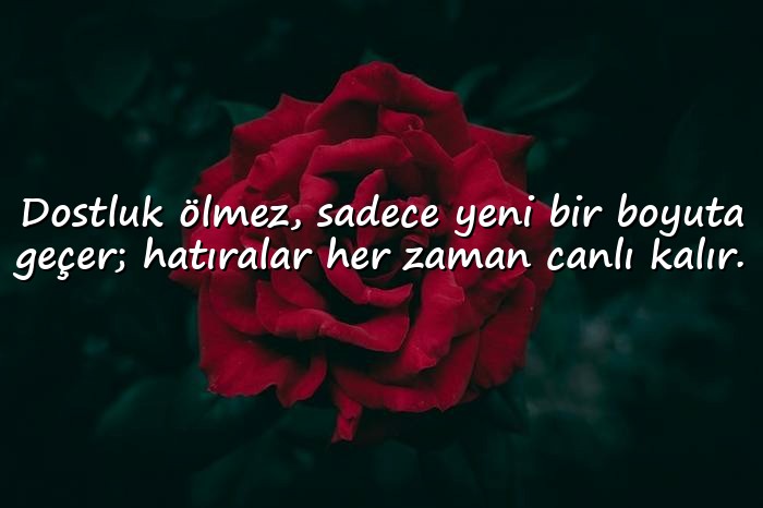 resimli Dost Sözleri - 1