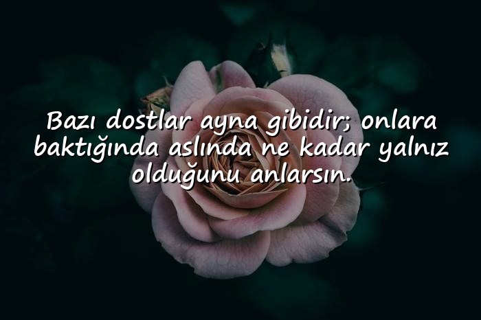 resimli dosta ağır sözler - 1