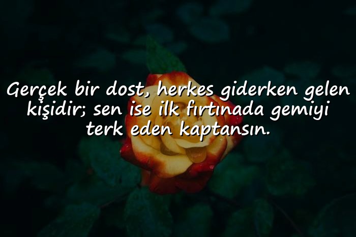 resimli dosta ağır sözler - 11