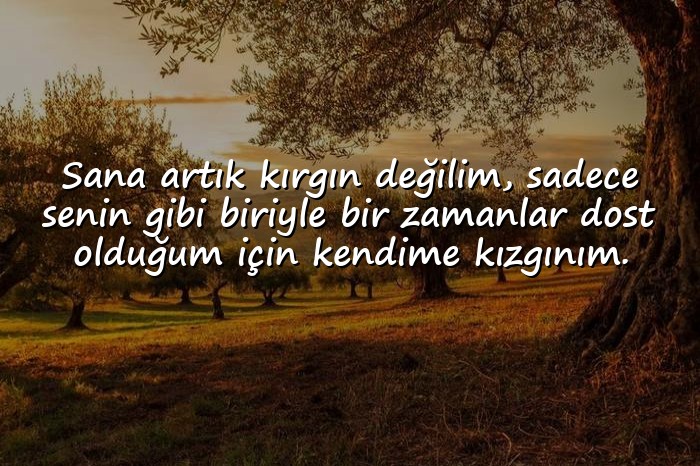 resimli dosta ağır sözler - 1