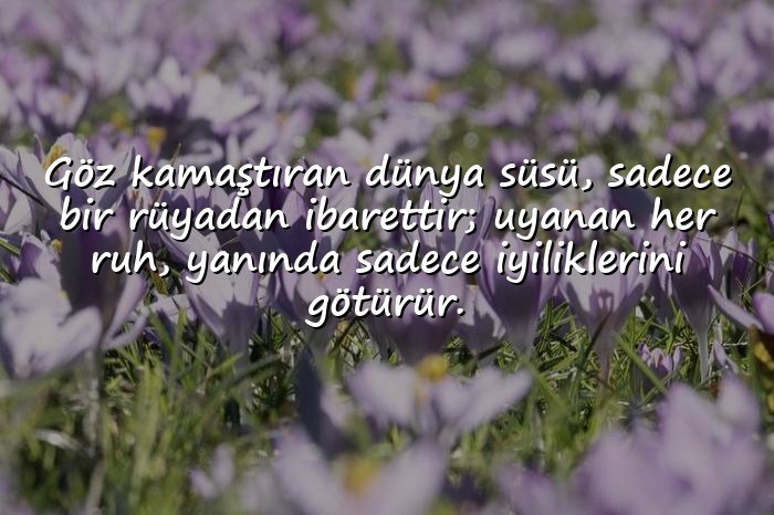 resimli dünya ile ilgili sözler - 6