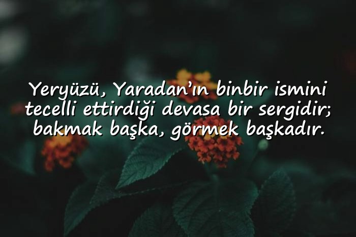 resimli dünya ile ilgili sözler - 1