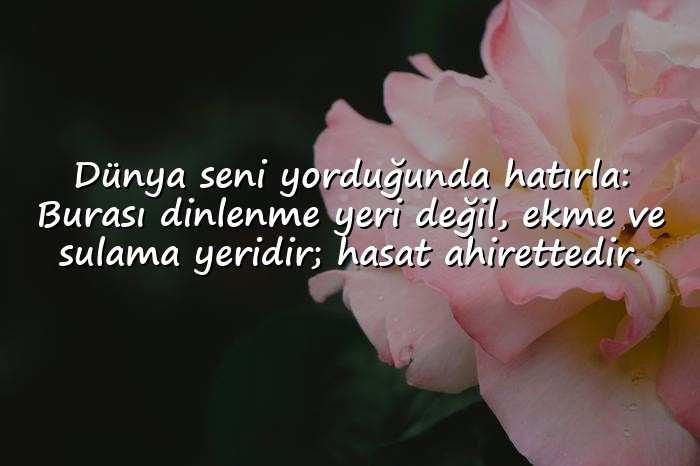 resimli dünya ile ilgili sözler - 21