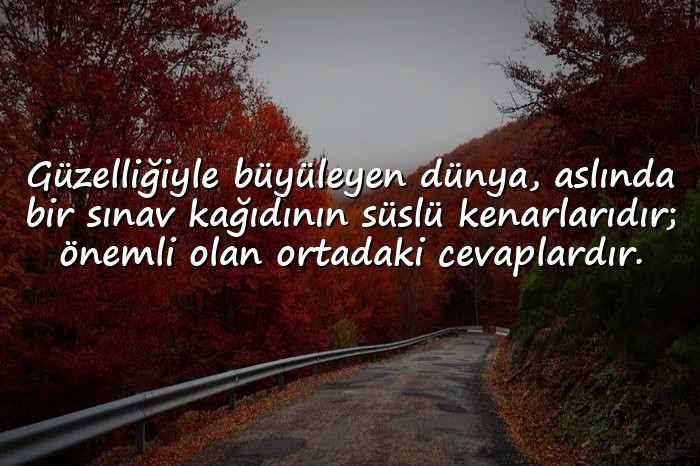 resimli dünya ile ilgili sözler - 11