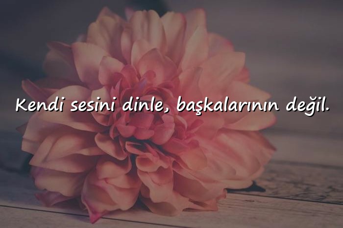 resimli durum sözleri - 6