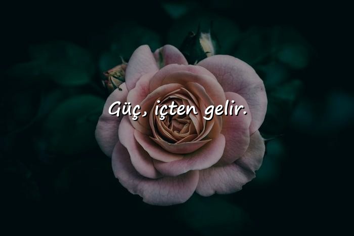 resimli durum sözleri - 1