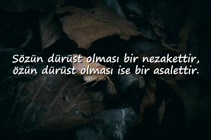 resimli dürüstlük ile ilgili sözler - 6