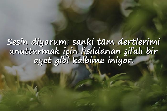 resimli duygusal aşk sözleri - 6
