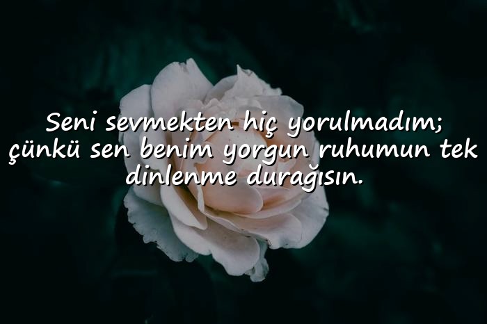 resimli duygusal aşk sözleri - 16