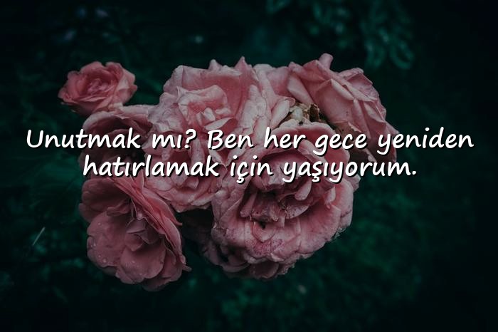 resimli duygusal sözler - 17