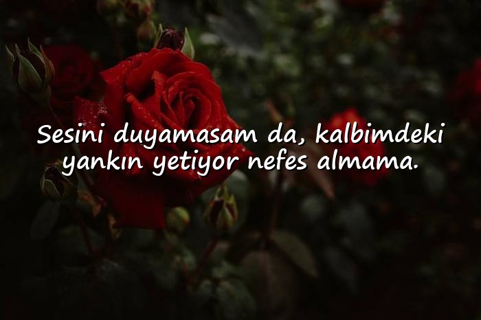 resimli duygusal sözler - 12