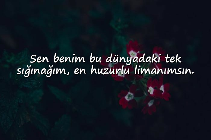 resimli duygusal sözler - 2