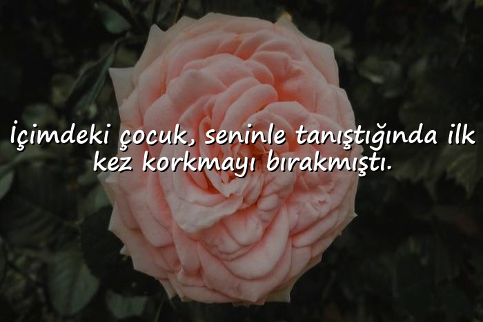 resimli duygusal sözler - 17