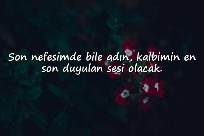 resimli duygusal sözler - 1