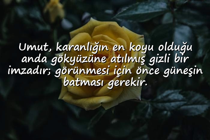 resimli edebi sözler - 6