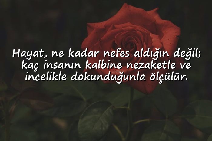 resimli edebi sözler - 1