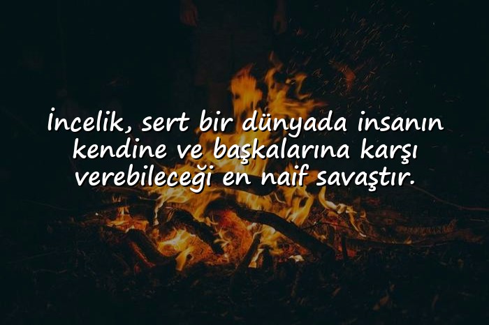 resimli edebi sözler - 16
