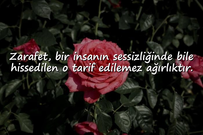 resimli edebi sözler - 11