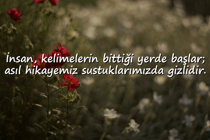 resimli edebi sözler - 6