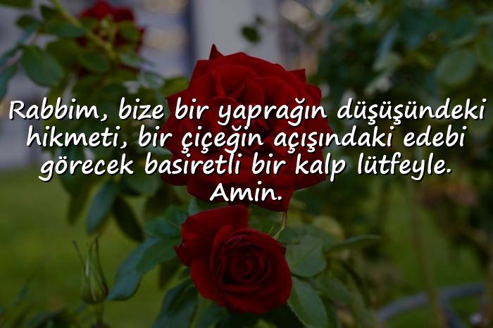 resimli edebi sözler - 1