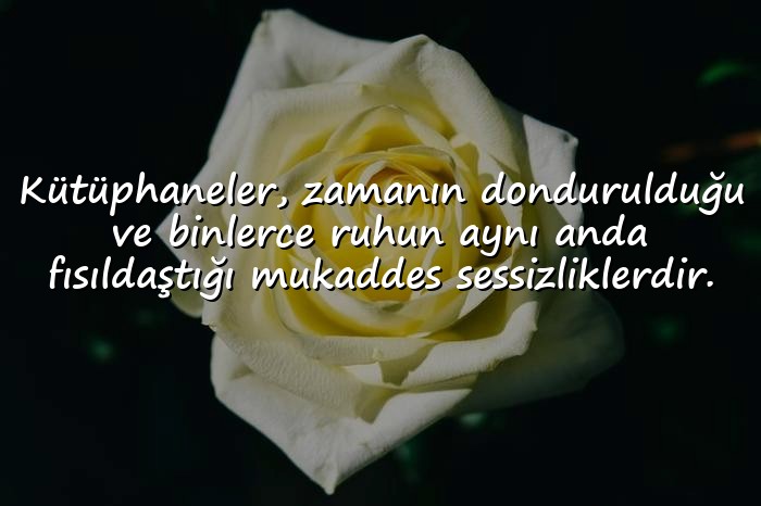 resimli edebiyat sözleri - 1