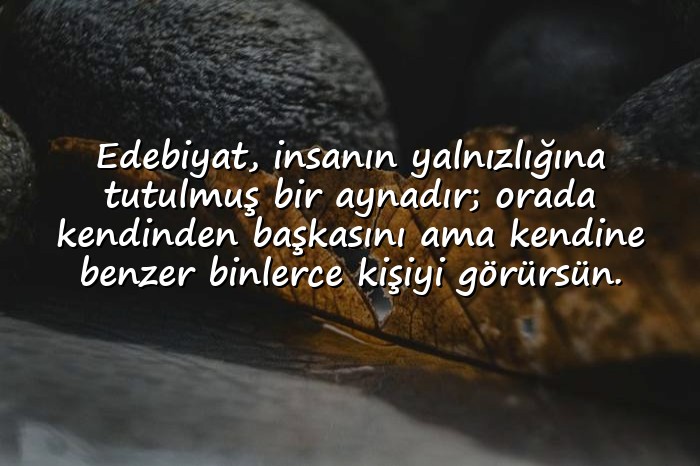 resimli edebiyat sözleri - 16