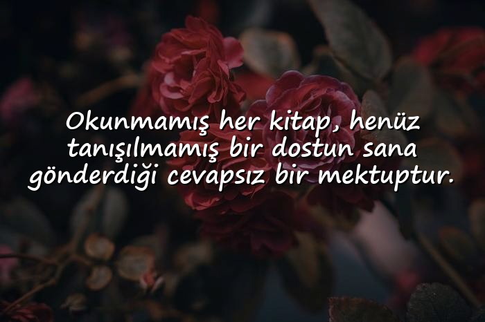 resimli edebiyat sözleri - 6
