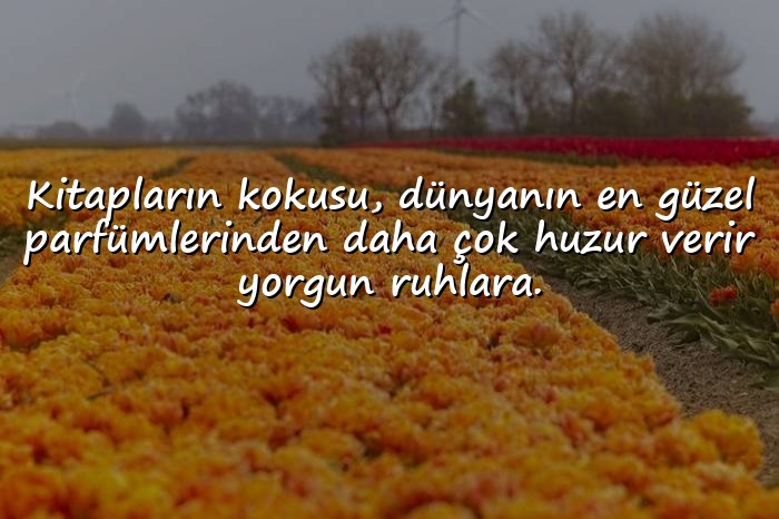 resimli edebiyat sözleri - 1