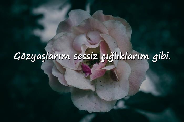 resimli efkarlı sözler - 20