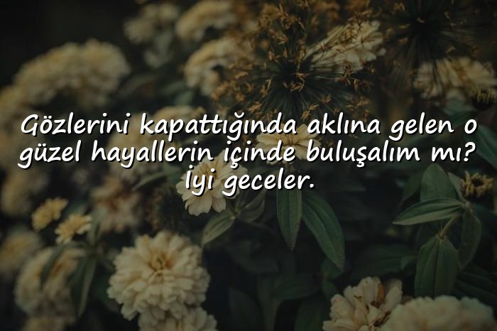 resimli En Tatlı İyi Geceler Mesajları - 1