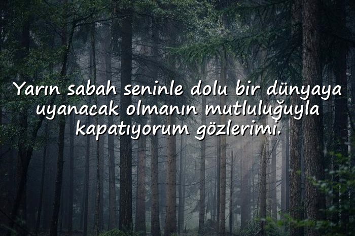 resimli En Tatlı İyi Geceler Mesajları - 21