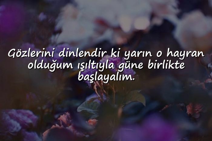 resimli En Tatlı İyi Geceler Mesajları - 16