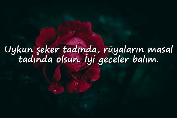 resimli En Tatlı İyi Geceler Mesajları - 6