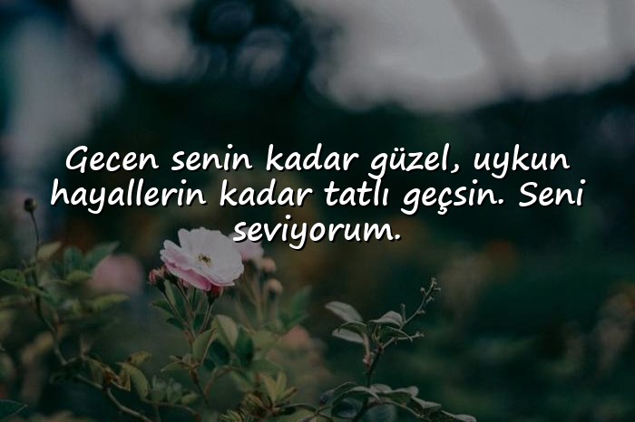 resimli En Tatlı İyi Geceler Mesajları - 1