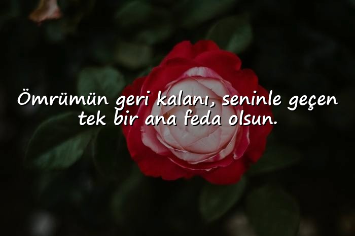 resimli eşine güzel sözler - 1