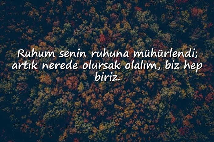 resimli etkileyici aşk sözleri - 15