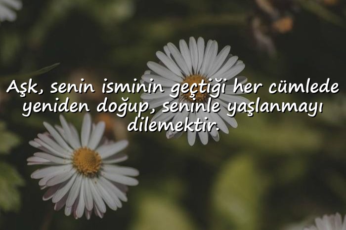resimli etkileyici aşk sözleri - 10