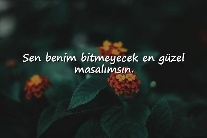 resimli etkileyici aşk sözleri - 25