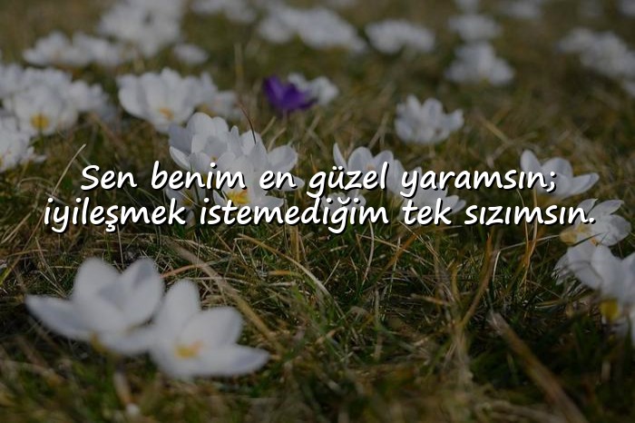 resimli etkileyici aşk sözleri - 5