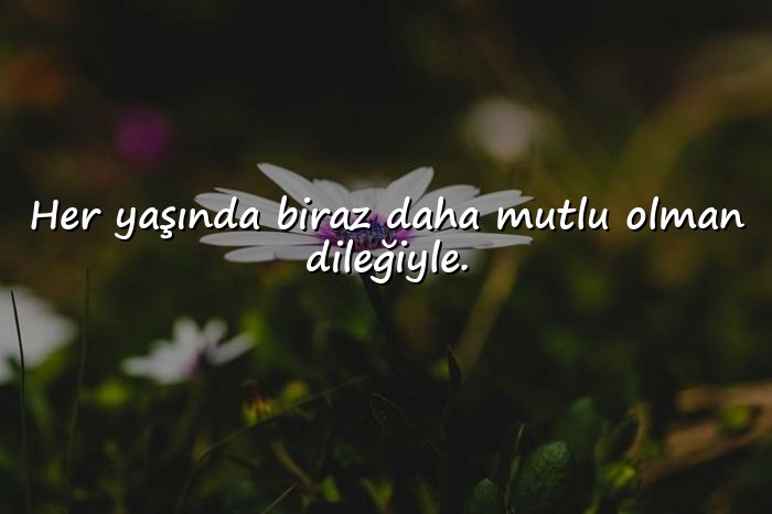 resimli etkileyici doğum günü mesajları - 1