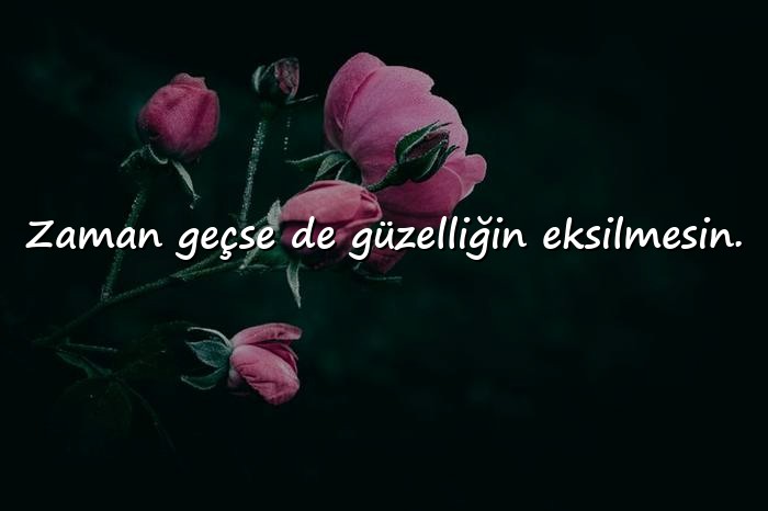 resimli etkileyici doğum günü mesajları - 21