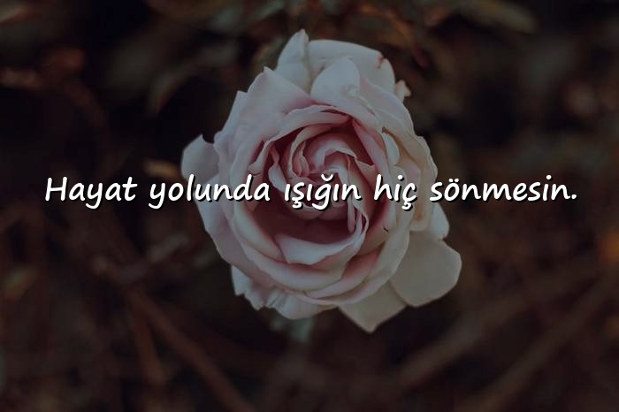 resimli etkileyici doğum günü mesajları - 16